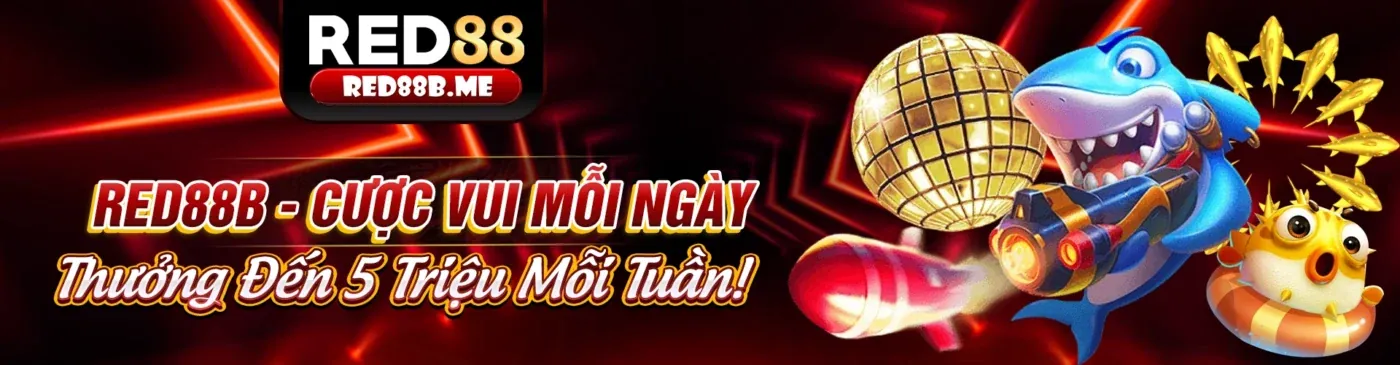 Trung tâm hỗ trợ Kimsport Link Vào 2026