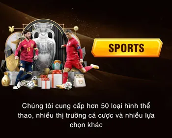 Dịch vụ hỗ trợ khách hàng 24/7 của kimsport
